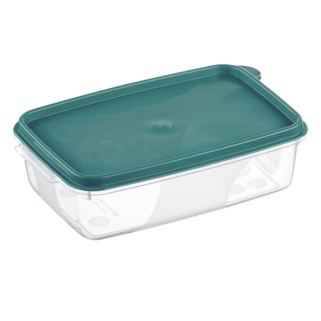 Freshness box 0,5 lt, Recyclate